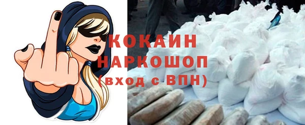 сатива Волоколамск