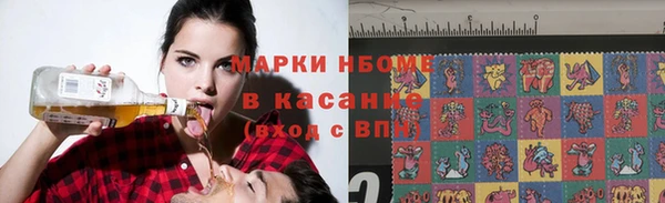 сатива Волоколамск