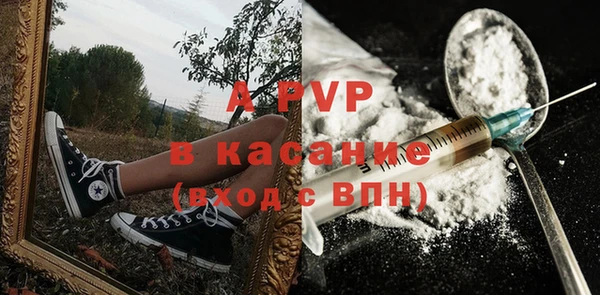 сатива Волоколамск