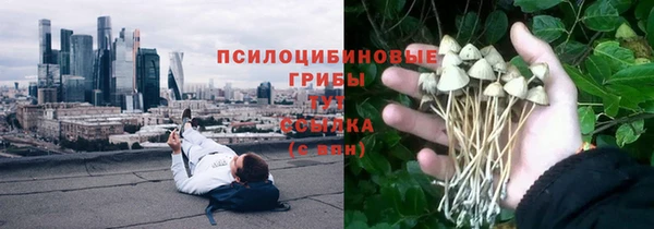 ПСИЛОЦИБИНОВЫЕ ГРИБЫ Волосово